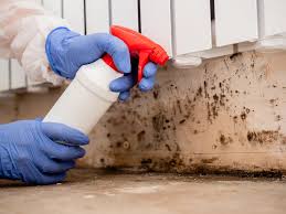 Mold Remediation for Rental Properties in Hurley, NM